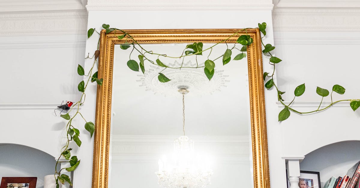 Assessing the Efficiency of Service in Melbourne's Modern Indian Restaurants