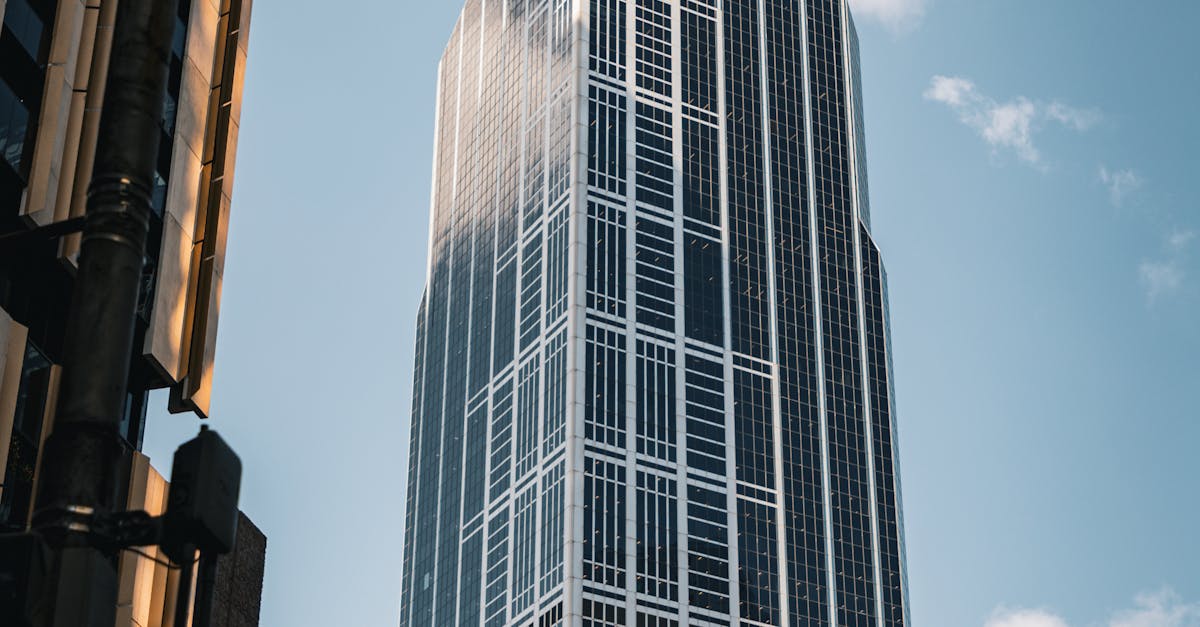 Kangaroo Biryani: An Innovative Twist on a Classic Dish