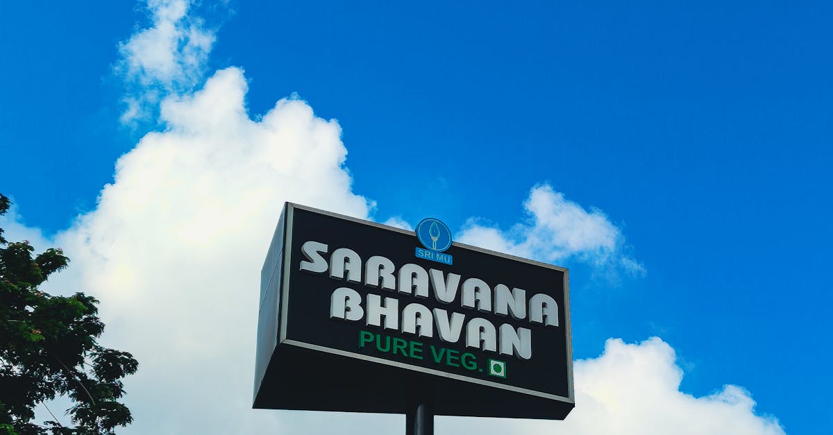 The Role of Lighting in Shaping the Dining Experience at Indian Restaurants